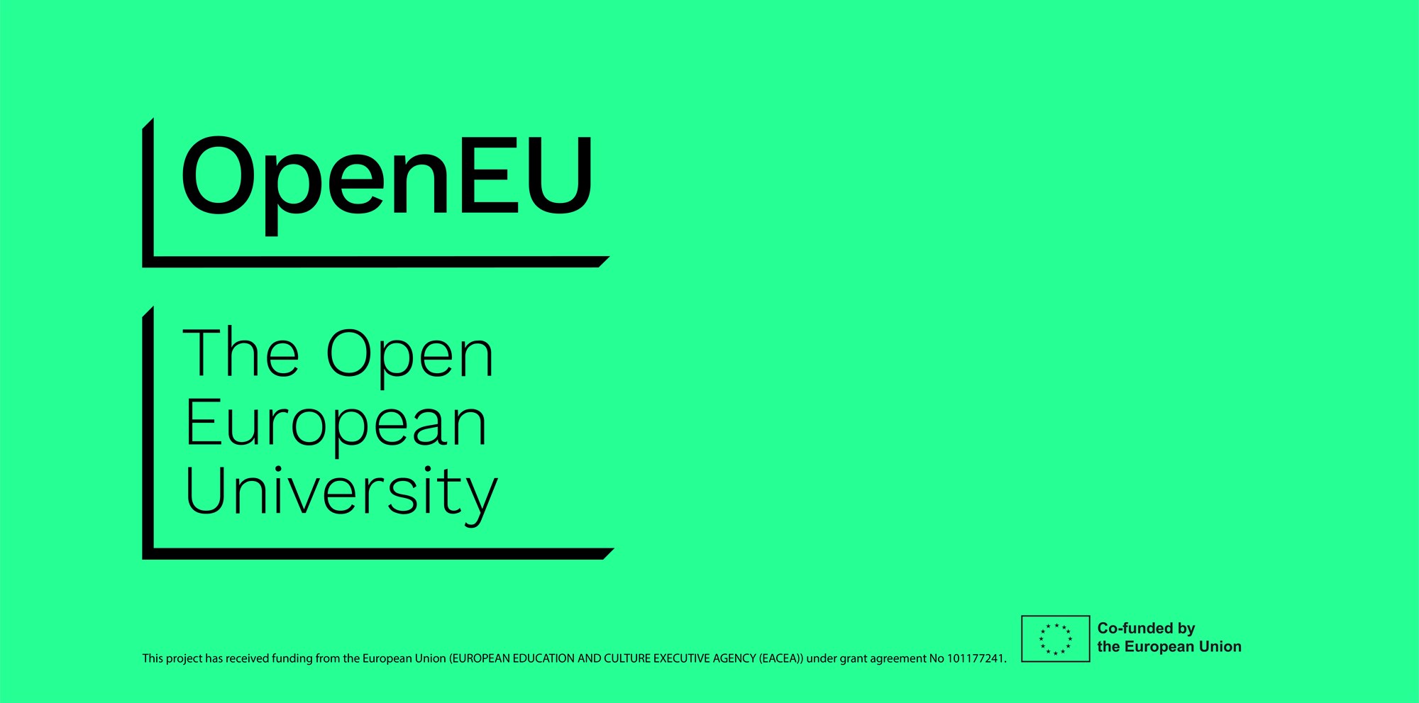 Ευρωπαϊκή Συμμαχία OpenEU | Πρακτική άσκηση φοιτητών σε επιχειρήσεις